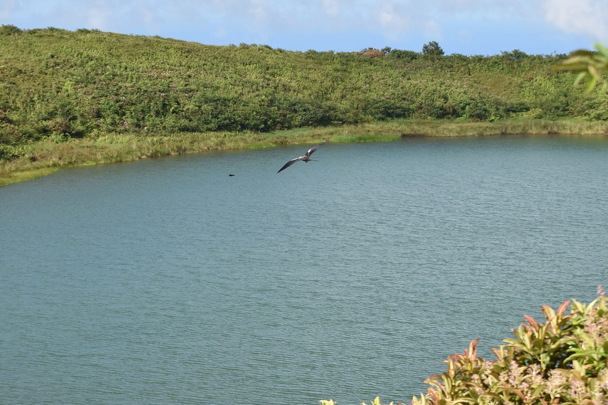Tour a la Laguna El Junco